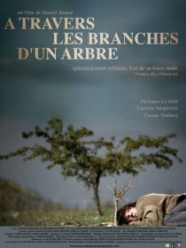 A travers les branches d'un arbre