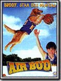 air-bud-buddy-star-des-paniers