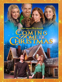 Affiche de Un Noël tous ensemble