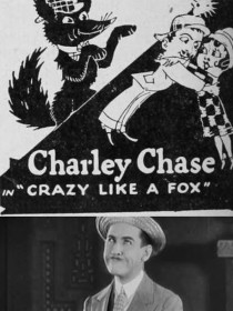 fou-comme-un-renard