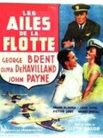 les-ailes-de-la-flotte