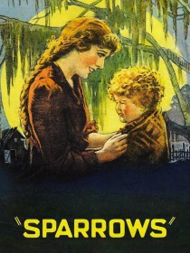 les-moineaux