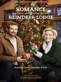 Affiche de Le Voyage surprise de Noël