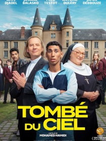 Affiche du film Tombé du ciel